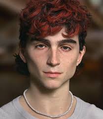 Timothée Chalamet, photographed by Collier Schorr for V MAN, Spring/Summer  2018.