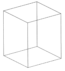 The Necker cube is a reversible image that, depending on the ...