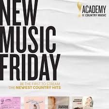 The only way this gets fixed is by 80 plus million patriots take back our country. Academy Of Country Music Awards