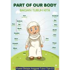Check spelling or type a new query. Poster Belajar Anggota Tubuh Kegiatan 2 Shopee Indonesia