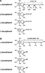 Alpha Tocopherol An Overview Sciencedirect Topics