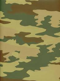 Nah, mencari ide/konsep untuk buku tahunan tentunya nggak gampang . 23 Army Backdrop Ideas Camo Party Army Party Army S Birthday
