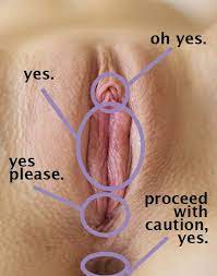 How to Eat Pussy - Best Cunnilingus Tips & Tricks