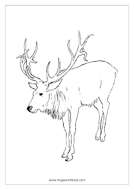 Tipss Und Vorlagen Malvorlagen Fur Rentier Und Pferdeschlitten Animal Coloring Pages Arctic Animals Animals Images
