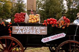 Fruit | Free Stock Photo | An apple cart in autumn | # 14074
