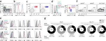 Le planning est élaboré en fonction de vos disponibilités et si vous avez un. Germinal Center Development Of Memory B Cells Driven By Il 9 From Follicular Helper T Cells Nature Immunology