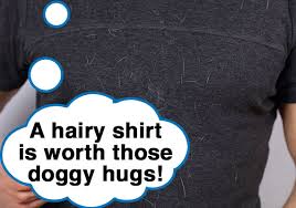 The electrostatic properties of a rubber broom act as a magnet, attracting pet hair from hard floors. 6 Best Pet Hair Removers For A Fur Free Home 23 Tested