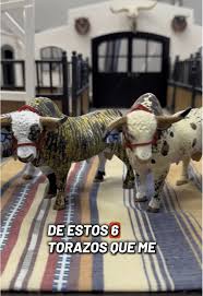 Toro Chicago Bulls Mascota