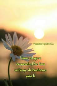 Pin De Dominic Salvador En Dominic S Pensamientos Positivos Palabra De Vida Frases Religiosas