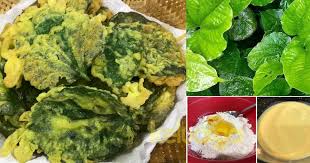 Khasiat daun katuk terbukti membantu menjaga kesehatan ibu menyusui secara turun temurun. Kerepek Daun Kaduk Pun Sedap Buat Kudapan Khasiat Pun Banyak Keluarga