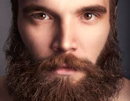 Toronto Beards Projects :: Photos, videos, logos, illustrations and  branding :: Behance