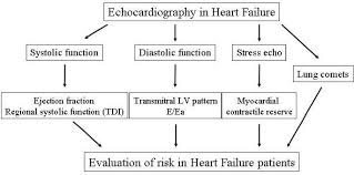 Image result for Systolic Dysfunction