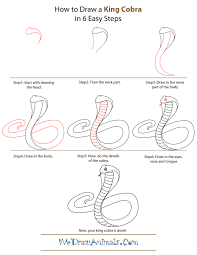 How To Draw A King Cobra