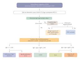 Image result for Humoral Immunodeficiency