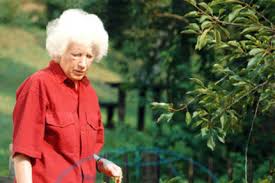 Knyga, kurią parašė milena bohatová. Olga Havlova 62 Zasvetila Svuj Zivot Pomoci Potrebnym Ahaprozeny Cz