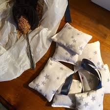 Des Anti Mites Maison Avec De La Sciure De Cedre Fraichement Coupe Anti Mites Diy Sciure