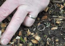 For over 30 years, i've been using metal detectors to find coins, rings and other jewelry items and even civil war artifacts. Woman Who Lost Wedding Ring In Longleat Woods Finds It With Help From Metal Detectors Daily Mail Online