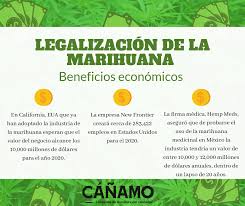 El dictamen sobre la regulación de la marihuana que ya circula en comisiones del senado busca permitir que el cannabis tenga uso para fines médicos, científicos, lúdicos, recreativos e industriales, así como. La Legalizacion De La Marihuana No Revista Canamo Mexico Facebook