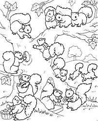 Mit einem ausmalbild wird der zurückhaltende waldbewohner zum dauergast im kinderzimmer. Viele Eichhoernchen Im Baum Fruhling Wenn Du Mal Buch Ausmalbilder Malvorlagen Zum Ausdrucken