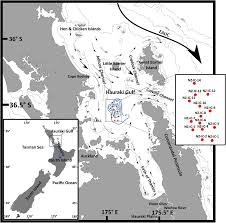 Sediment Deposition In The Central Hauraki Gulf New Zealand