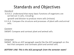 Animal cell mitosis reading answer key. Week Of 12 13 Catalyst Please Write The Answers To These Questions On A Blank Piece Of Paper Monday Get Out Any Notes You Have Ppt Download