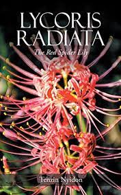 Cucuk in a sentence and translation of cucuk in english dictionary with audio pronunciation by dictionarist.com. Lycoris Radiata The Red Spider Lily English Edition Ebook Nyidon Tenzin Amazon De Kindle Shop