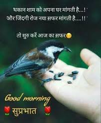 Check spelling or type a new query. Good Morning 1584933311 Good Morning Quotes Good Morning Wishes Quotes Morning Quotes