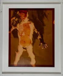 Bildergebnis für Robert Flynt