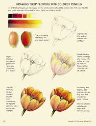 When Your Subject Envelops You Color Pencil Art Color Pencil Drawing Flower Drawing