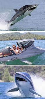 Alh-weird-boats-shark-inspired-boat Boat Ski Boats Cool Boats