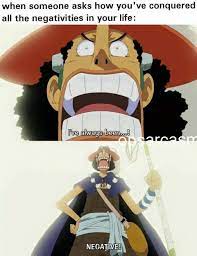 Pin By Yzma7 On One Piece One Piece Meme One Piece Funny One Piece Comic