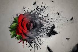 Alle bestellungen sind sonderanfertigungen und werden meist innerhalb von 24 stunden versendet. Rose Tattoo Viele Bedeutungen In Einer Blume Tattoostudios Nurnberg