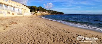 Le pen's partner louis aliot, a member of the fn's executive committee, criticized the attempted manipulation of opinion by communitarian groups and those really responsible for the current situation in france. Beach D Aiguebelle Le Lavandou Var France Beachrex Com