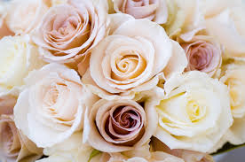 Maybe you would like to learn more about one of these? Fiori Bianchi Fiori Simili Alle Rose Il Significato Dei Fiori Bianchi Blog Floraqueen It Fiori Matrimonio Fiori Simili A Peonie Matrimoni Riviste Di Matrimonio Peonie Peonie Fiori Sono Disponibili