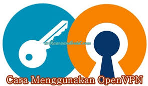 Langkah pertama silahkan anda lakukan penyettingan apn yang ada di android anda, caranya silahkan buka pengaturan => jaringan seluler => jalur titik akses (apn) => silahkan anda klik buat apn baru dan kemudian muncul kolom. Cara Menggunakan Open Vpn Untuk Internet Gratis Trik Cara Internet Gratis