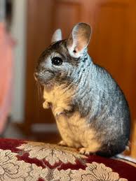 Maybe you would like to learn more about one of these? Yeko6nsdyydtam