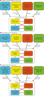 Measuring Squid Fishery Governance Efficacy A Social