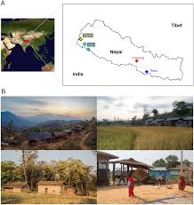 While both writing and speech are useful in conveying messages, writing differs in also being a reliable form of information storage and transfer. Gut Microbiome Transition Across A Lifestyle Gradient In Himalaya