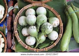 Image result for Solanum macrocarpon