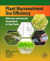 This chapter focuses on the basics of macronutrients—their roles, sources, and requirements. Plant Macronutrient Use Efficiency 1st Edition