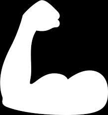 Interviuri, comentarii, noutati, rezultate din toate competitiile sportive. Rezultate White Muscle Icon Transparent Full Size Png Download Seekpng