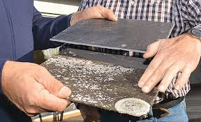 Asbest Selbst De Sanierung Dachreparatur Fassadenplatten