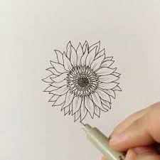 Throwing It Back To How To Draw A Flower I Apologize That I Haven T Had Time To Make These How To Vid Sunflower Drawing Sunflower Sketches Flower Drawing How to draw a sunflower, realistic sunflower, step by step, drawing guide, by finalprodigy. sunflower sketches flower drawing