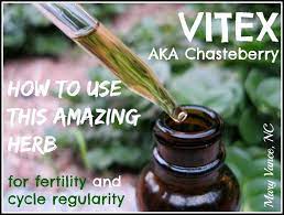 How To Use Vitex For Hormone Balance Fertility Mary Vance Nc