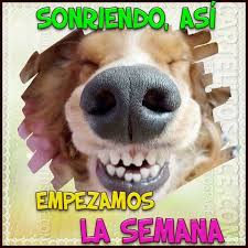 Los diputados del ppd y representantes de la región. Buenos Dias Feriado Para Muchos Dia Normal Para Otros Yo A Laborar Explota Luego De Un Dia Perros Felices Cartelitos Para Compartir Tarjetas Para Compartir