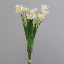 Żonkil — m i, d. Zonkil Narcyz Daffodils X3 26 Cm White Yellow Sklep Internetowy Karmon Decor Pl