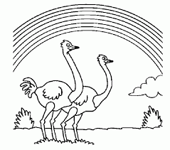 +90 gambar sketsa tayo mewarnai. Mewarnai Gambar Pelangi Dan Burung Unta Gambar Burung Halaman Mewarnai Sketsa