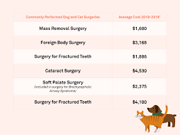 In general pet owners can expect cataract surgery to average $3,500 1 and cost between $2,700 to $4,000 2 which includes the exam, surgery, anesthesia, operating room use, hospitalization, medications, check ups 2. Pet Insurance Surgery Costs Facts Figures Petplan Pet Insurance Pet Health Care Pet Health Insurance