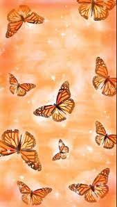 Maybe you would like to learn more about one of these? Orange Aesthetic Wallpaper Orange Wallpaper Cute Patterns Wallpaper Pretty Wallpapers