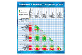 Fish Tank Mates Chart Freshwater Fish Compatibility For A